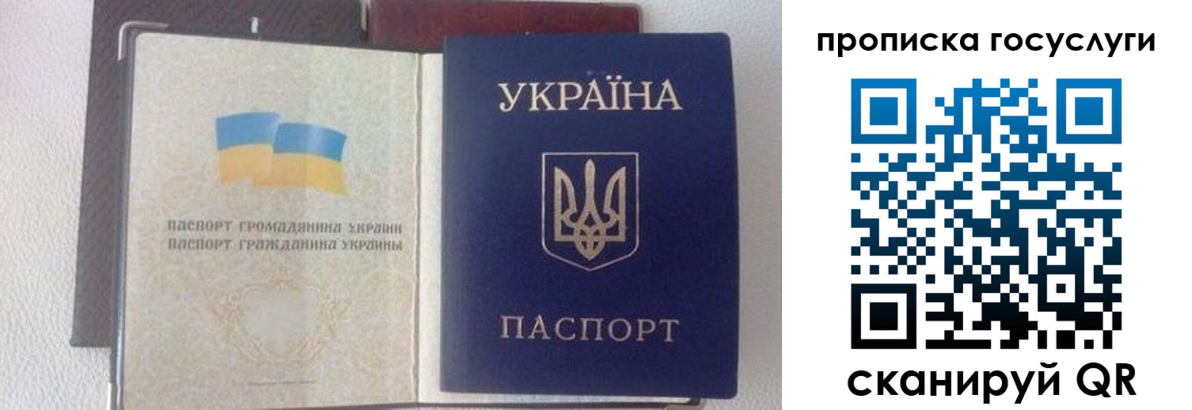 временная регистрация недорого в Козельске
